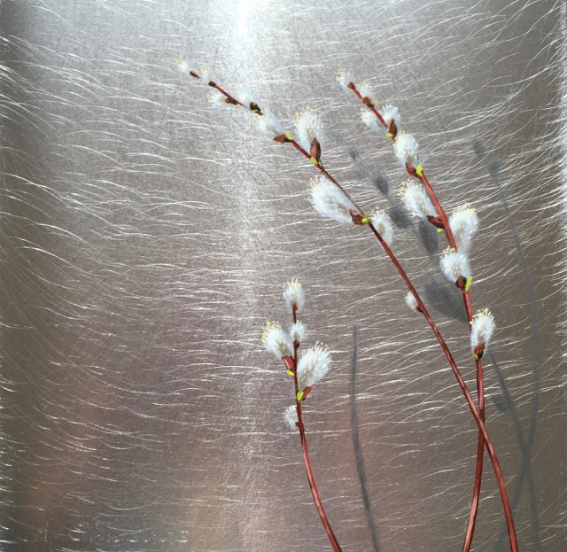 Wild Pussywillows 2,  8