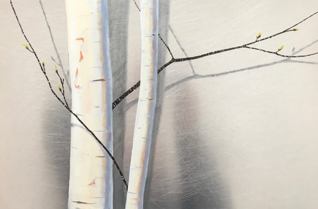 Sweetland Birches   12